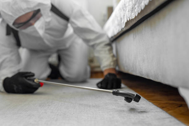 Professional Bed Bug Control technician working in Knott County County, KY
